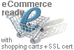 ecommerce ebusiness